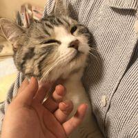 たかえりな 会員画像