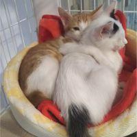 会員画像