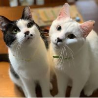 カラママ 会員画像