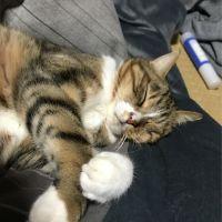 ターキ 会員画像