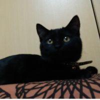 カネアヤ 会員画像