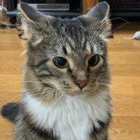 会員画像