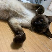 そうわんじゅうき 会員画像