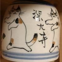 ニャモーン 会員画像