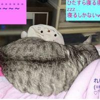 会員画像