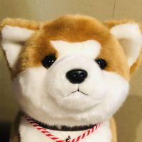 知太さん