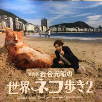 akushi1126 会員画像