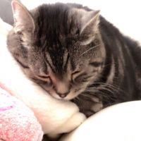 くりすけ1126 会員画像