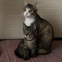 yuwさん