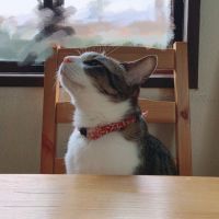 みひそあ 会員画像