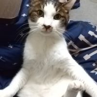 アスドン 会員画像
