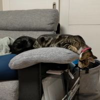 むぎきち 会員画像