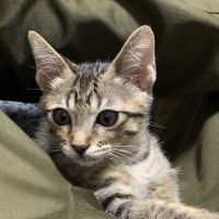 ミライース@ 会員画像