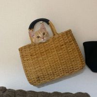 gomako 会員画像