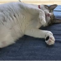 会員画像