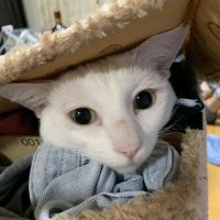 会員画像
