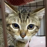 まぁ吉 会員画像