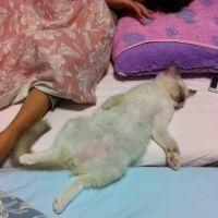 ポポマロ 会員画像