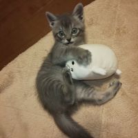 suzukeiさん