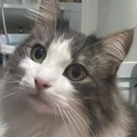 とんちゃん102さん