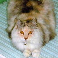 tuaru32 会員画像