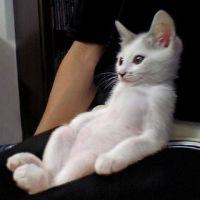 みゃ♪ 会員画像