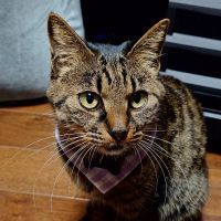 ビビちやん 会員画像