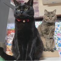 ユーカリの 会員画像