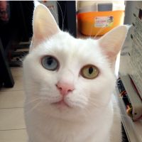 にゃん太郎304さん