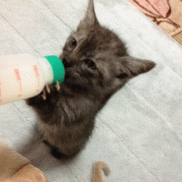 会員画像