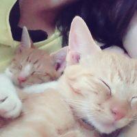 るん。 会員画像