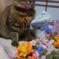 のりみさん