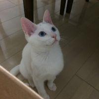 岡ニャラン 会員画像