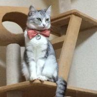 会員画像