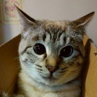 まーたろう81 会員画像