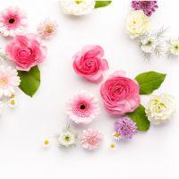 ゆうややん 会員画像