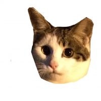 シロニャン 会員画像