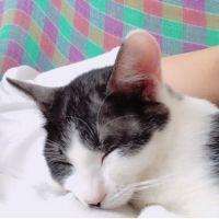 ゆかみこ 会員画像
