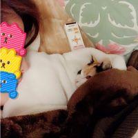 ちま180328 会員画像