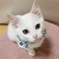 佐藤ゆんさん