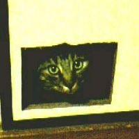 てるる 会員画像