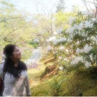 会員画像