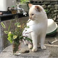 michikusa 会員画像