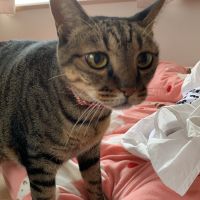 モモっち 会員画像