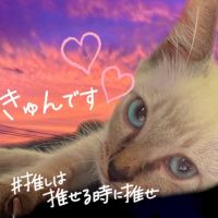 みみ。 会員画像