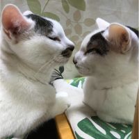 あずっち 会員画像