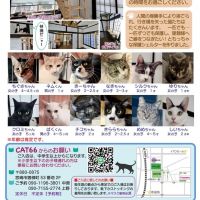 ミニアナ 会員画像