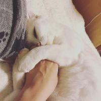 ぺりこっこ 会員画像