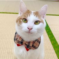 マロン1001さん