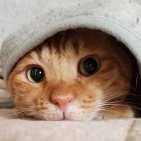 すがい 会員画像